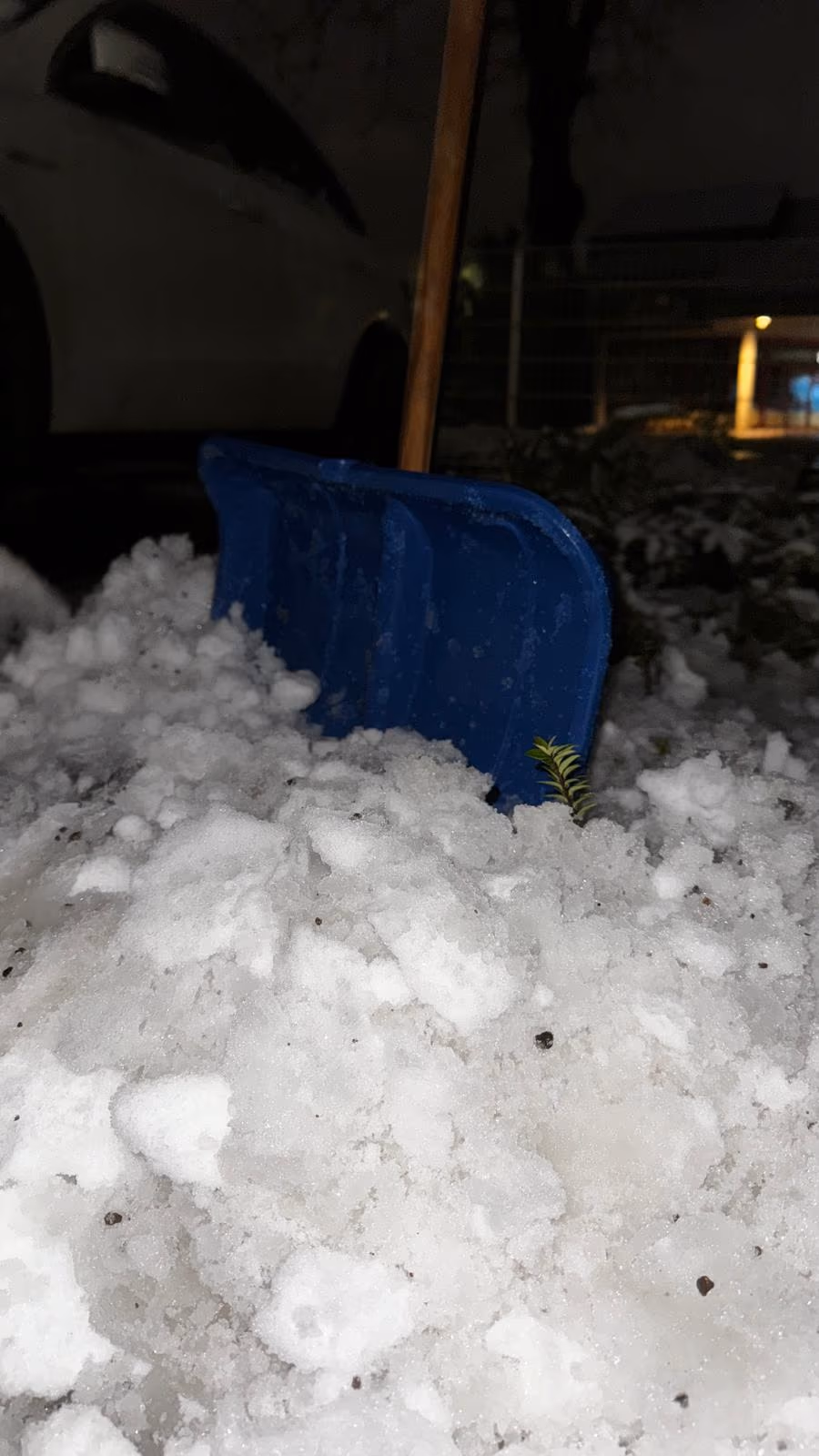Schneeschaufel in frisch geräumtem Schnee am Wegrand, abends bei Straßenbeleuchtung